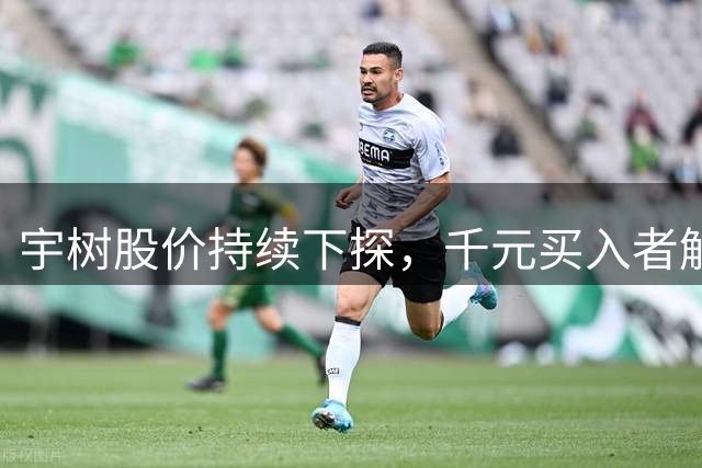 宇树股价持续下探，千元买入者解套无望？